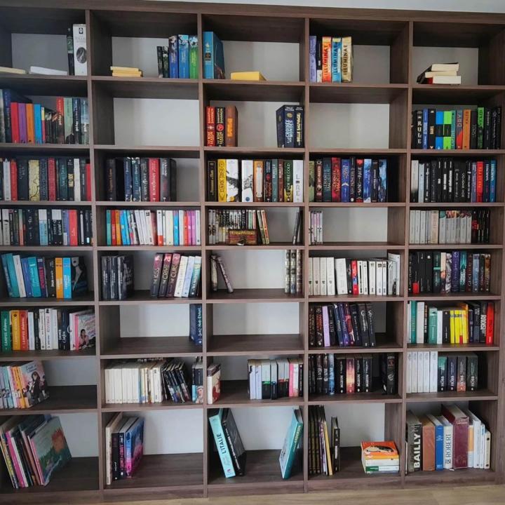 Conception et agencement de bibliothèque et de vitrine Clermont-Ferrand