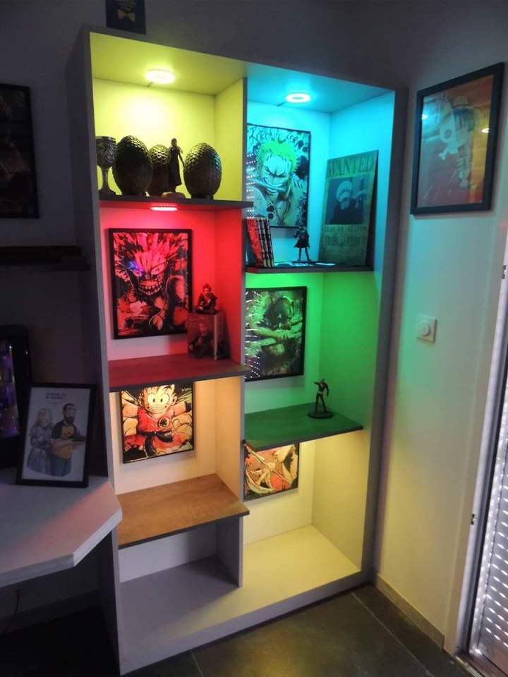 Conception et agencement de bibliothèque et de vitrine Clermont-Ferrand