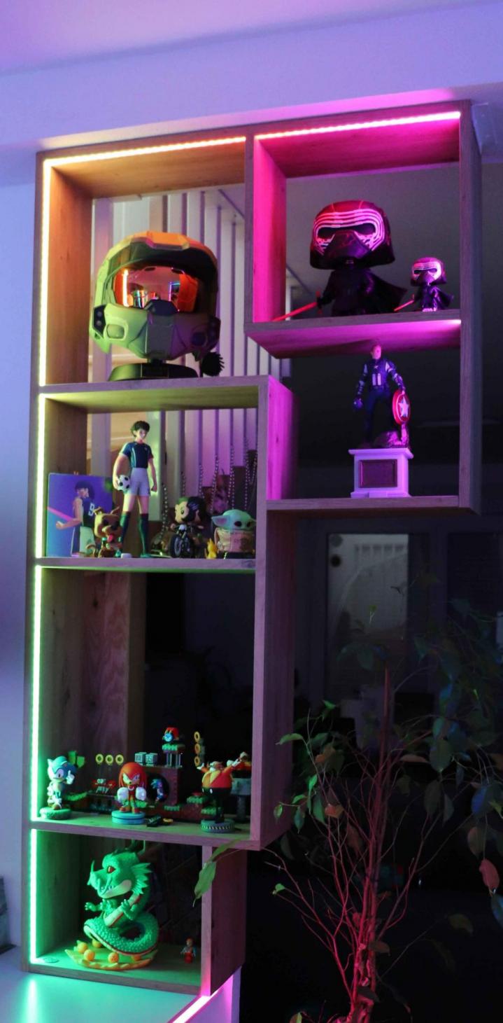 Conception et agencement de bibliothèque et de vitrine Clermont-Ferrand